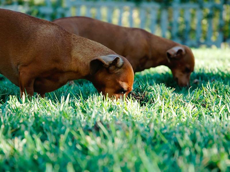 手冲咖啡<br>ujcbtdu.cn 第三波浪潮谱